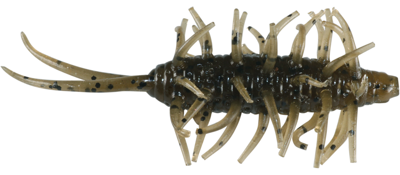 Coike Shrimp Mini - HIDEUP