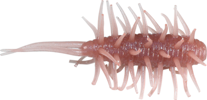 Coike Shrimp - HIDEUP