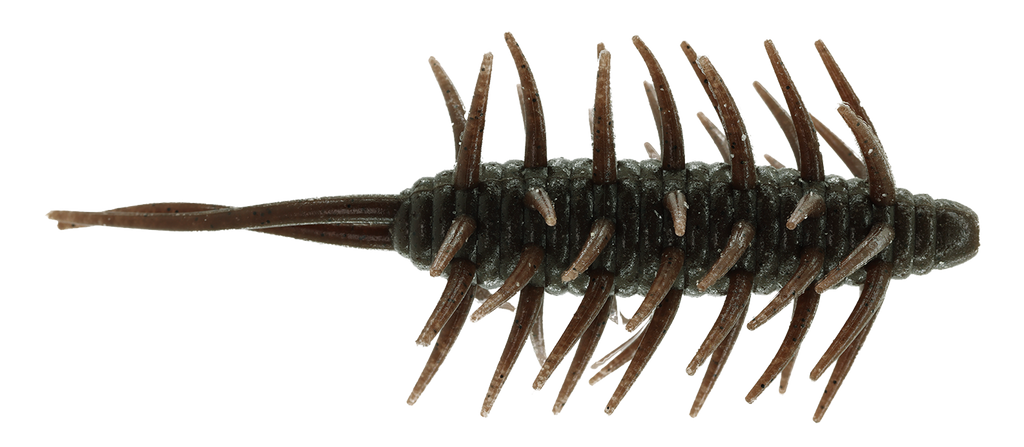 Coike Shrimp Extra Large - HIDEUP