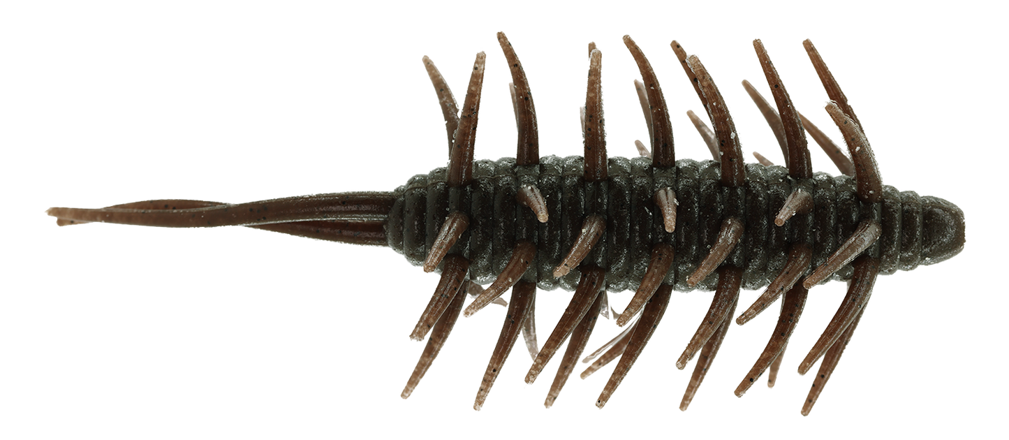 Coike Shrimp Extra Large - HIDEUP