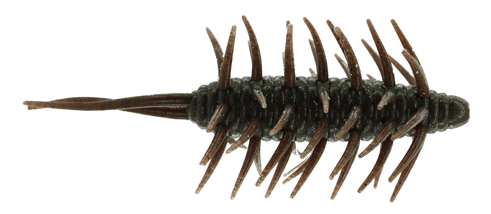 Coike Shrimp Extra Large - HIDEUP
