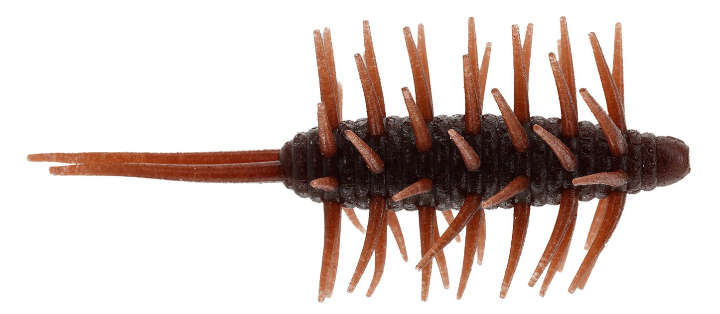 Coike Shrimp Extra Large - HIDEUP