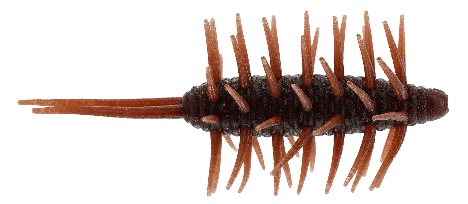 Coike Shrimp Extra Large - HIDEUP