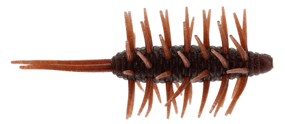 Coike Shrimp Extra Large - HIDEUP