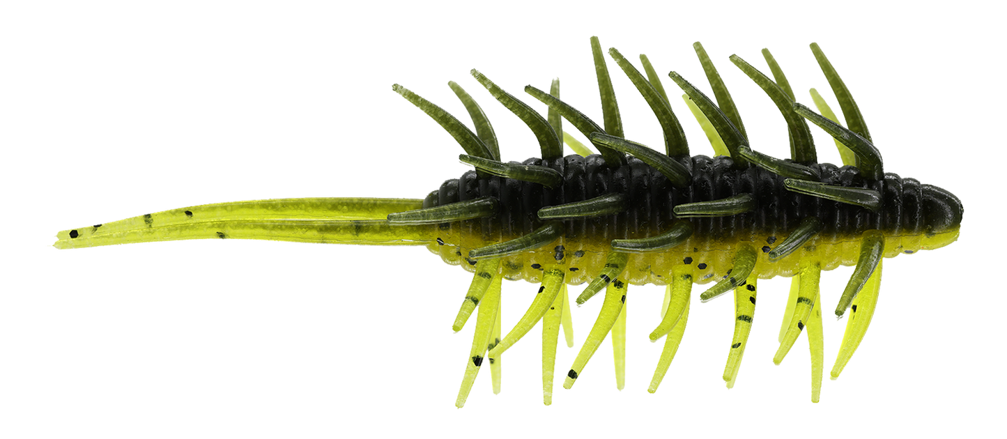 Coike Shrimp Extra Large - HIDEUP