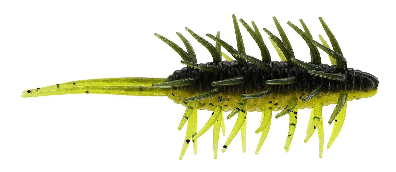Coike Shrimp Extra Large - HIDEUP