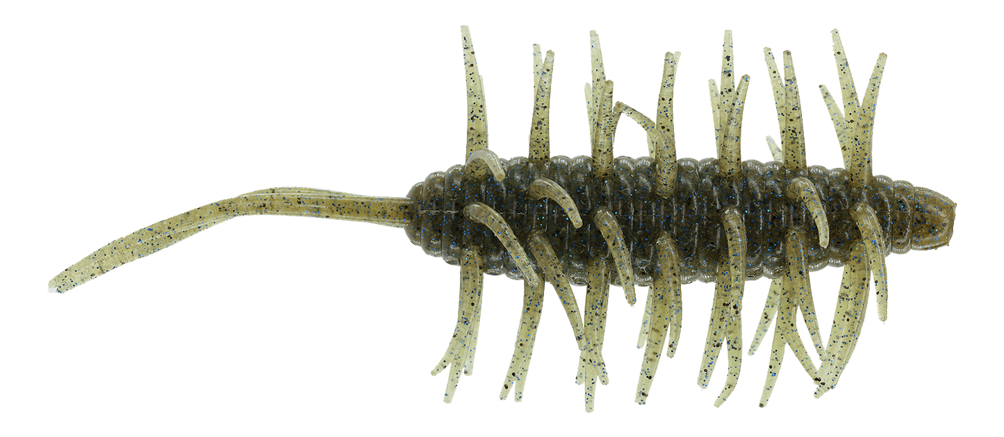 Coike Shrimp Extra Large - HIDEUP