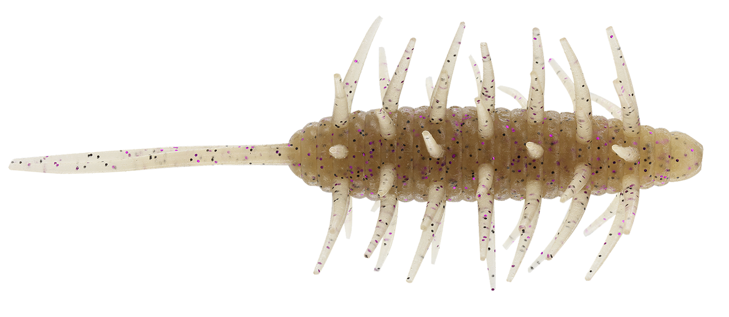 Coike Shrimp Extra Large - HIDEUP