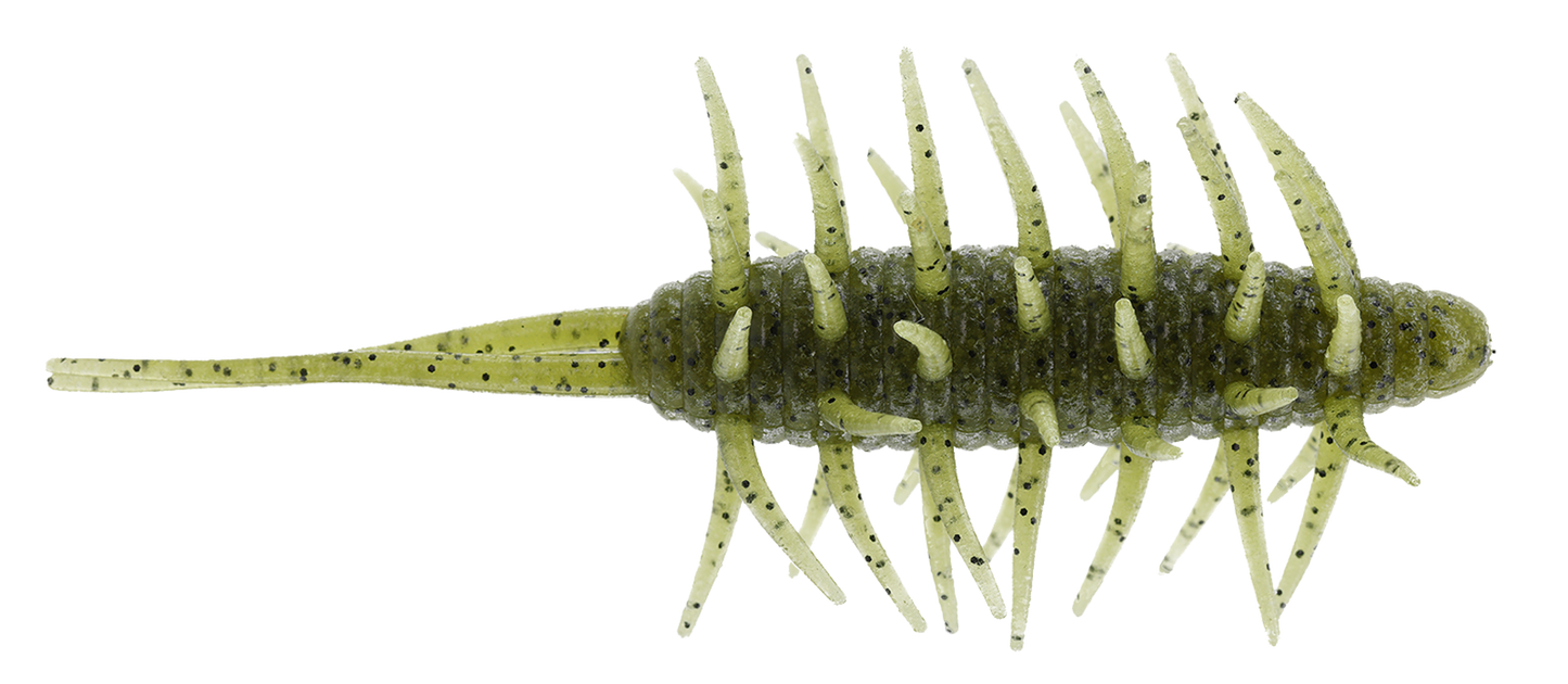 Coike Shrimp Extra Large - HIDEUP