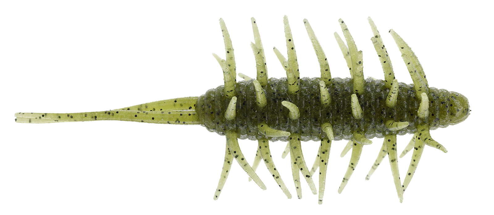 Coike Shrimp Extra Large - HIDEUP