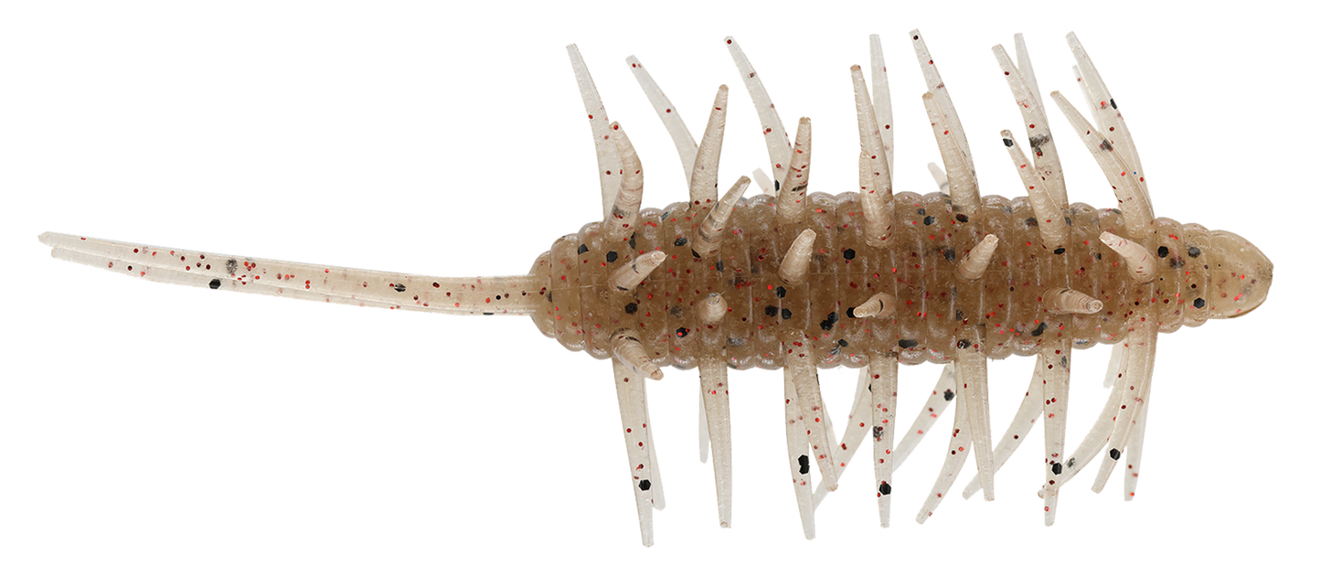 Coike Shrimp Extra Large - HIDEUP