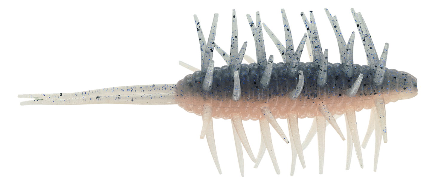 Coike Shrimp Extra Large - HIDEUP