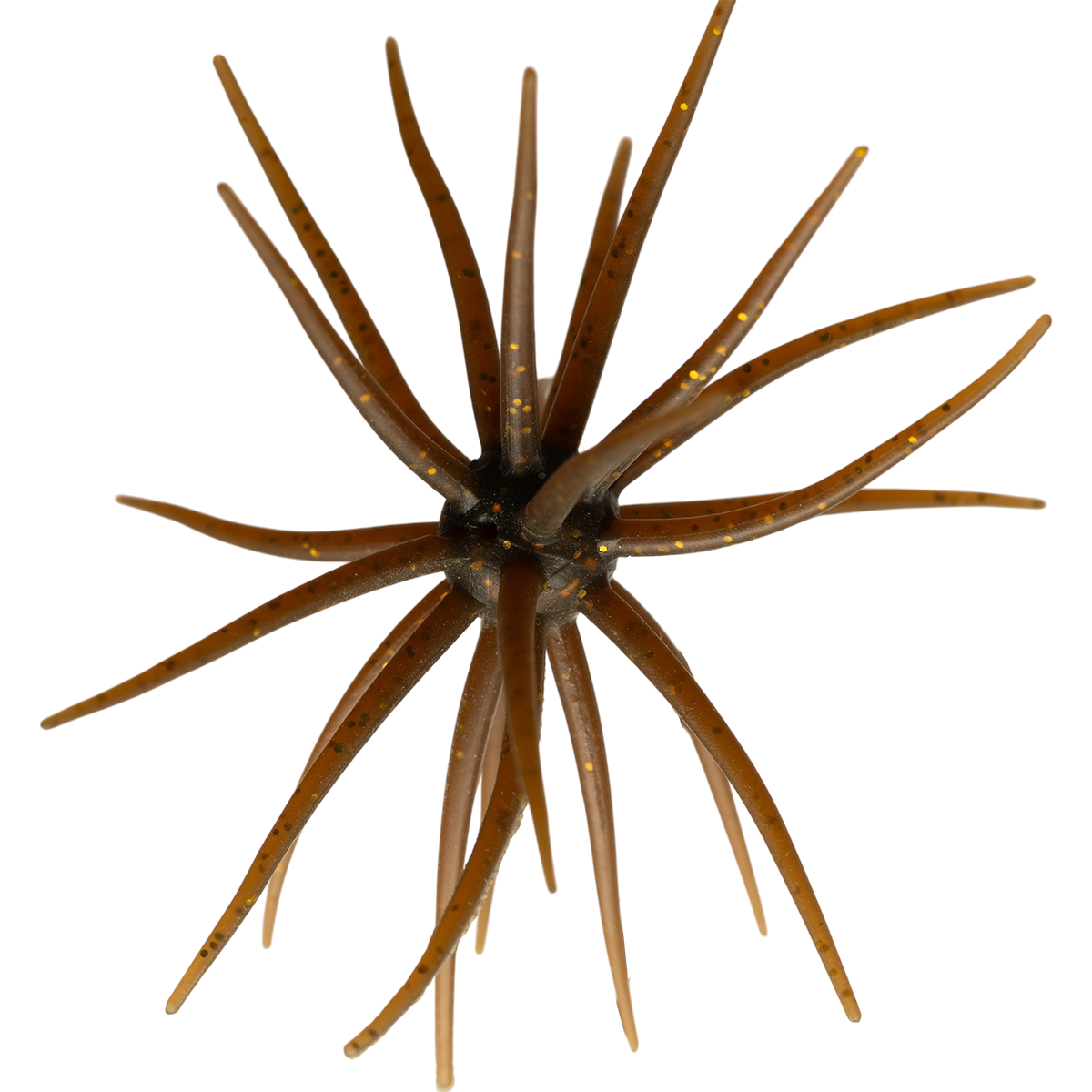 Kyu Coike (Old Coike) - HIDEUP