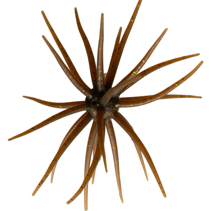 Kyu Coike (Old Coike) - HIDEUP