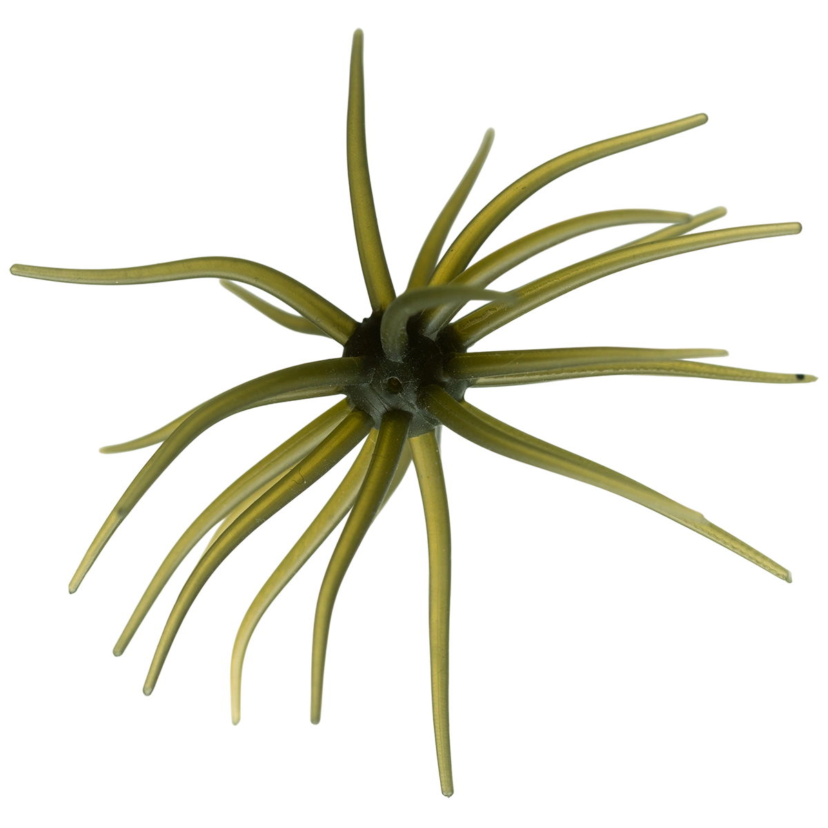 Kyu Coike (Old Coike) - HIDEUP