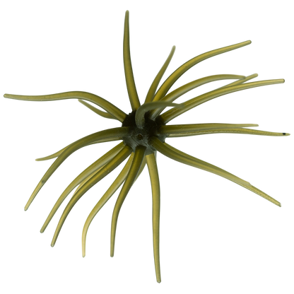 Kyu Coike (Old Coike) - HIDEUP