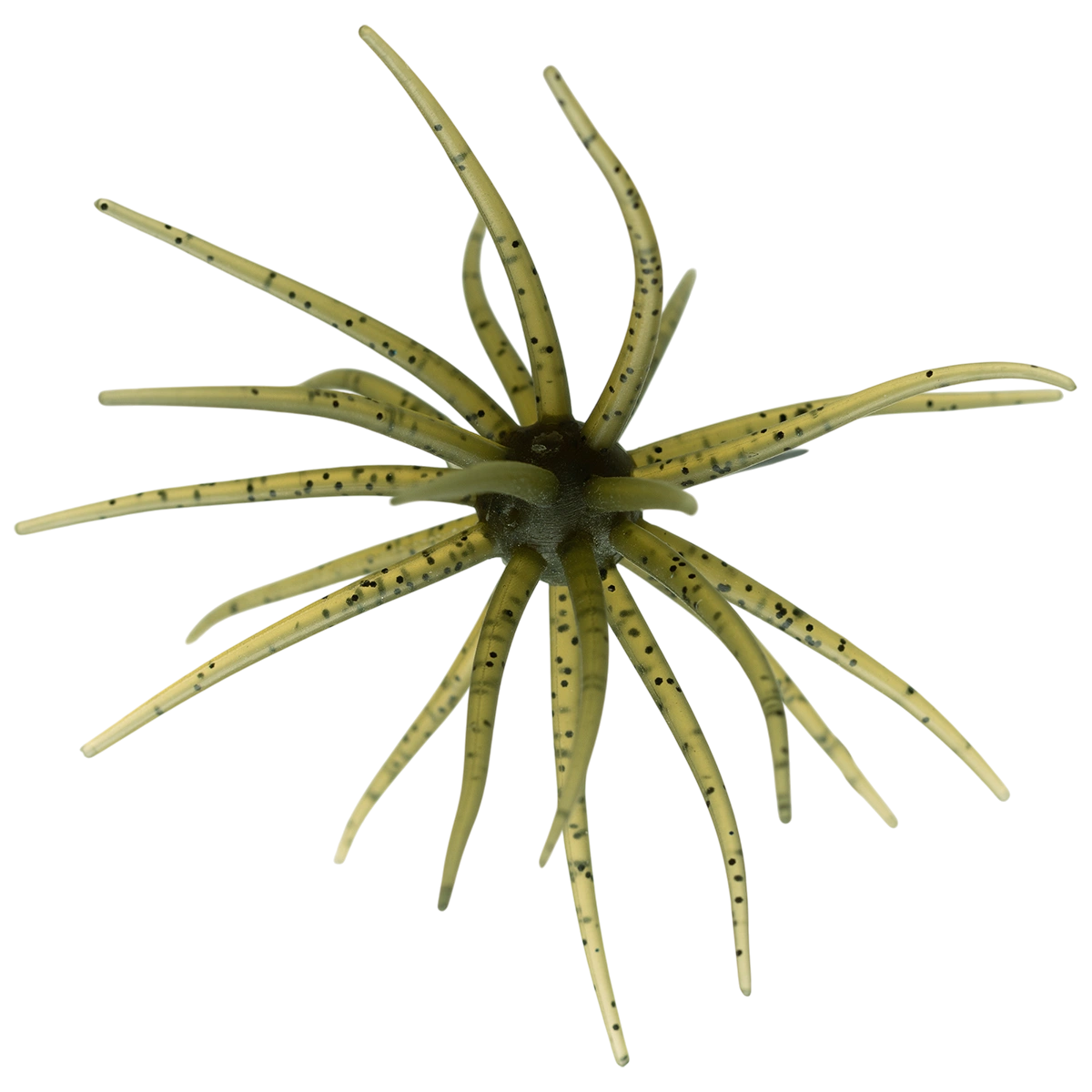 Kyu Coike (Old Coike) - HIDEUP