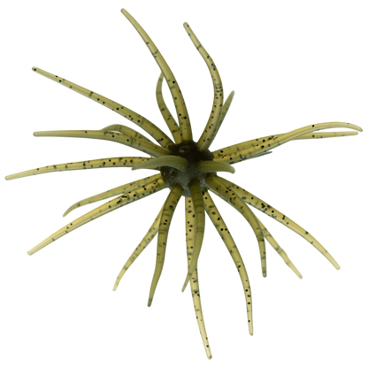 Kyu Coike (Old Coike) - HIDEUP