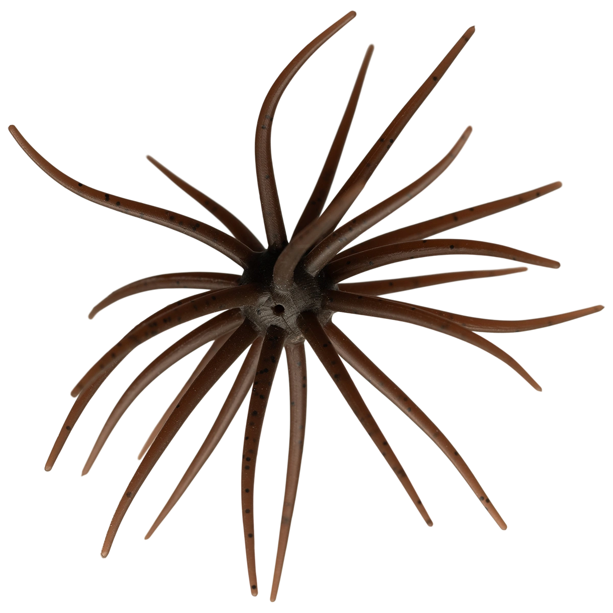 Kyu Coike (Old Coike) - HIDEUP