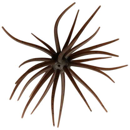 Kyu Coike (Old Coike) - HIDEUP