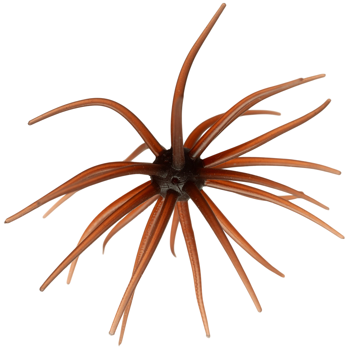 Kyu Coike (Old Coike) - HIDEUP