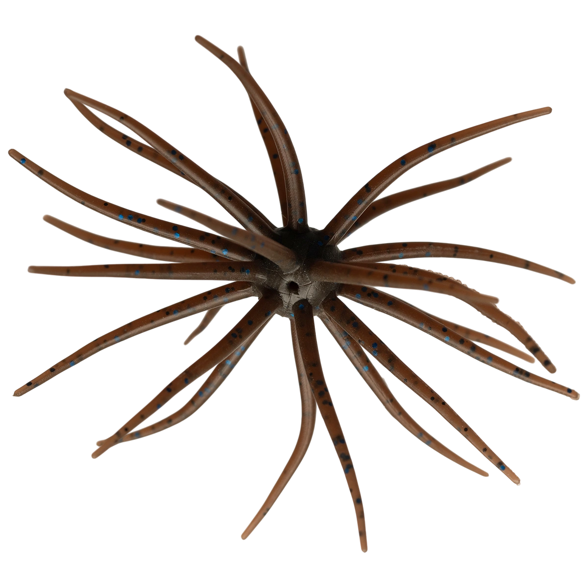 Kyu Coike (Old Coike) - HIDEUP