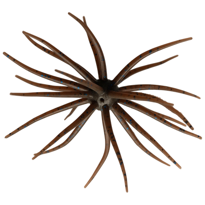 Kyu Coike (Old Coike) - HIDEUP