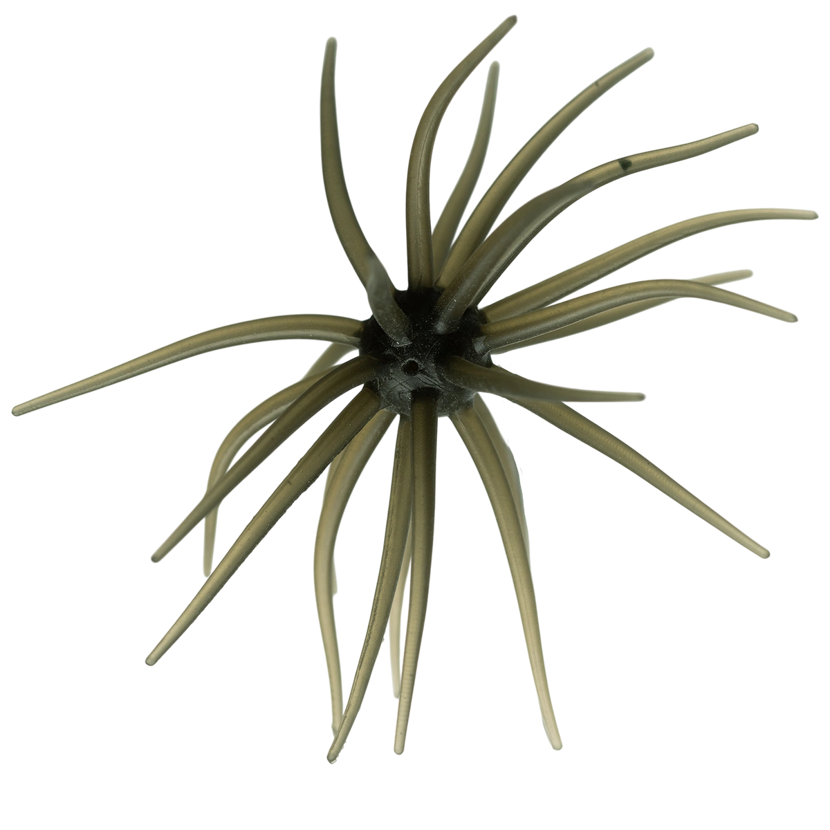 Kyu Coike (Old Coike) - HIDEUP