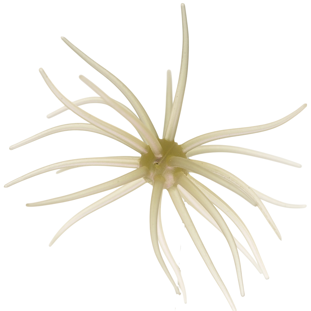 Kyu Coike (Old Coike) - HIDEUP