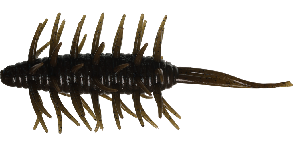 Coike Shrimp Big - HIDEUP