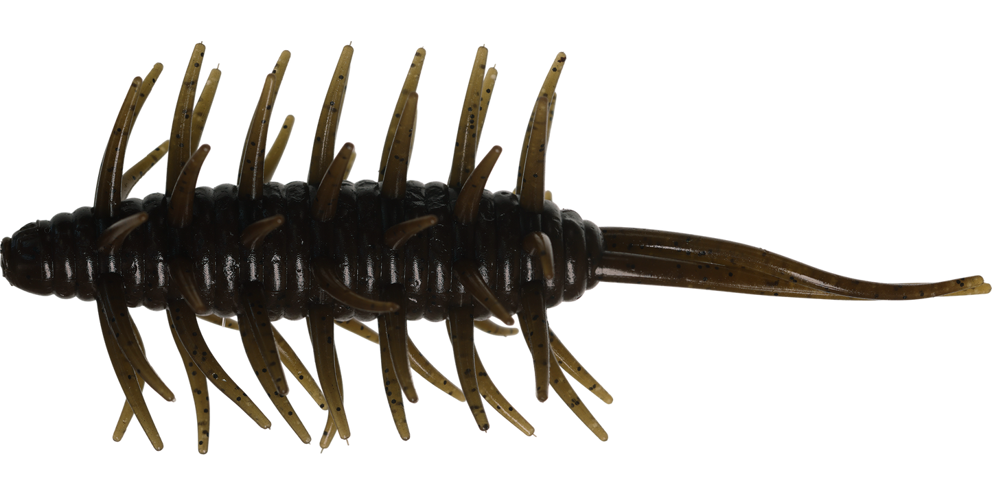 Coike Shrimp Big - HIDEUP