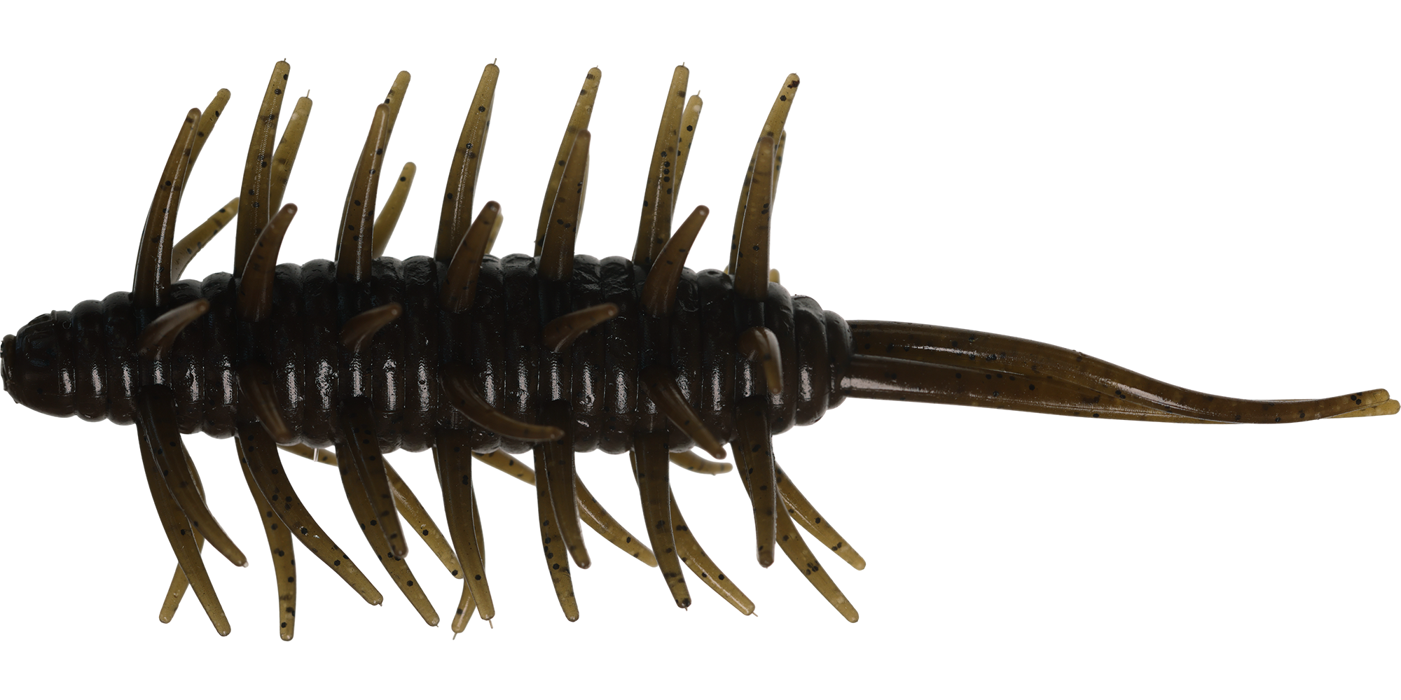 Coike Shrimp Big - HIDEUP
