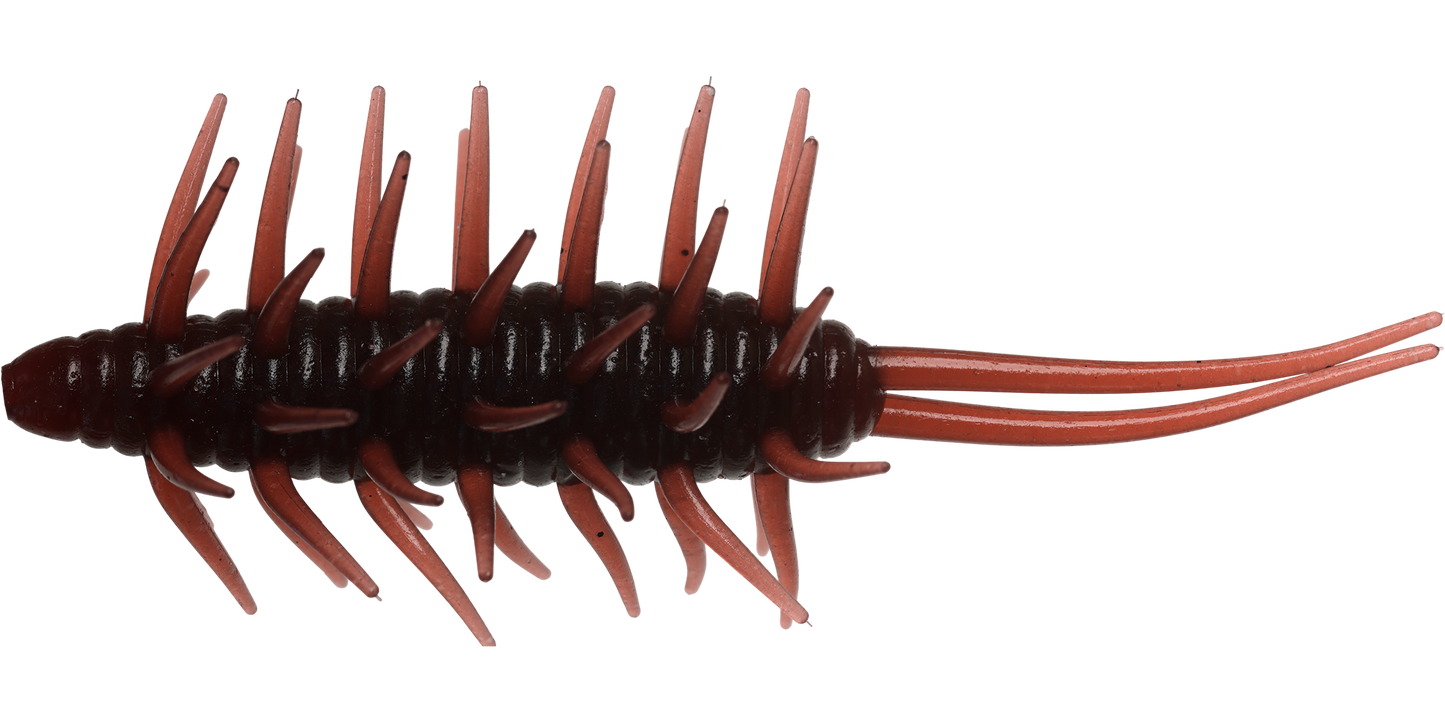 Coike Shrimp Big - HIDEUP