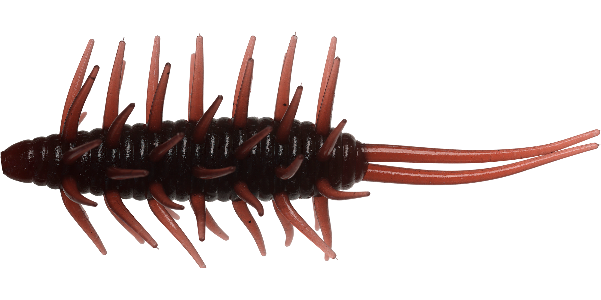 Coike Shrimp Big - HIDEUP