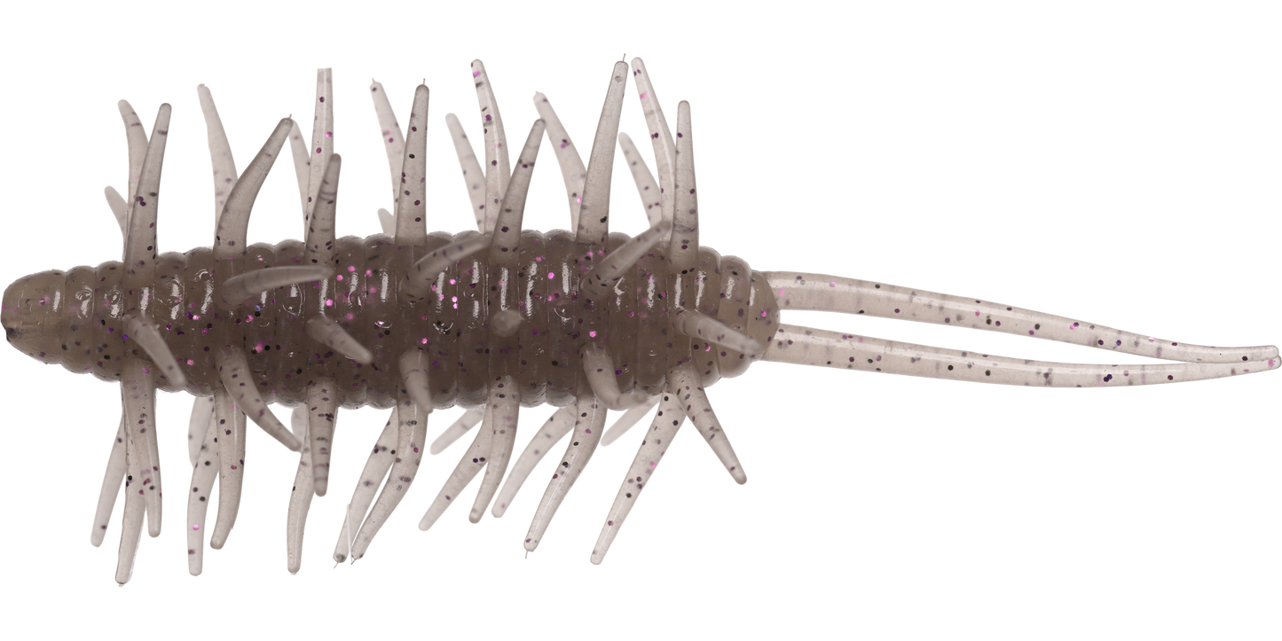 Coike Shrimp Big - HIDEUP