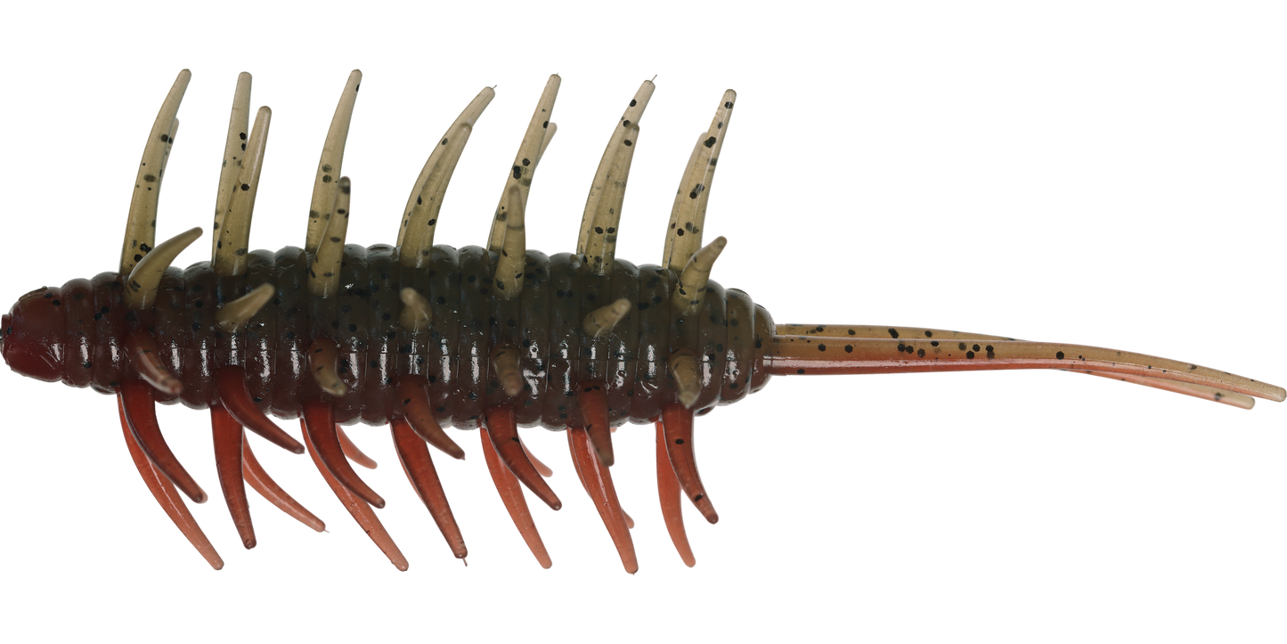 Coike Shrimp Big - HIDEUP