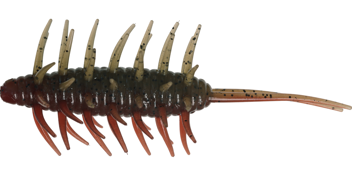 HIDEUP COIKE fullcast ／KOIKE shrimp BIG Coike Shrimp Big - HIDEUP – MINAMI