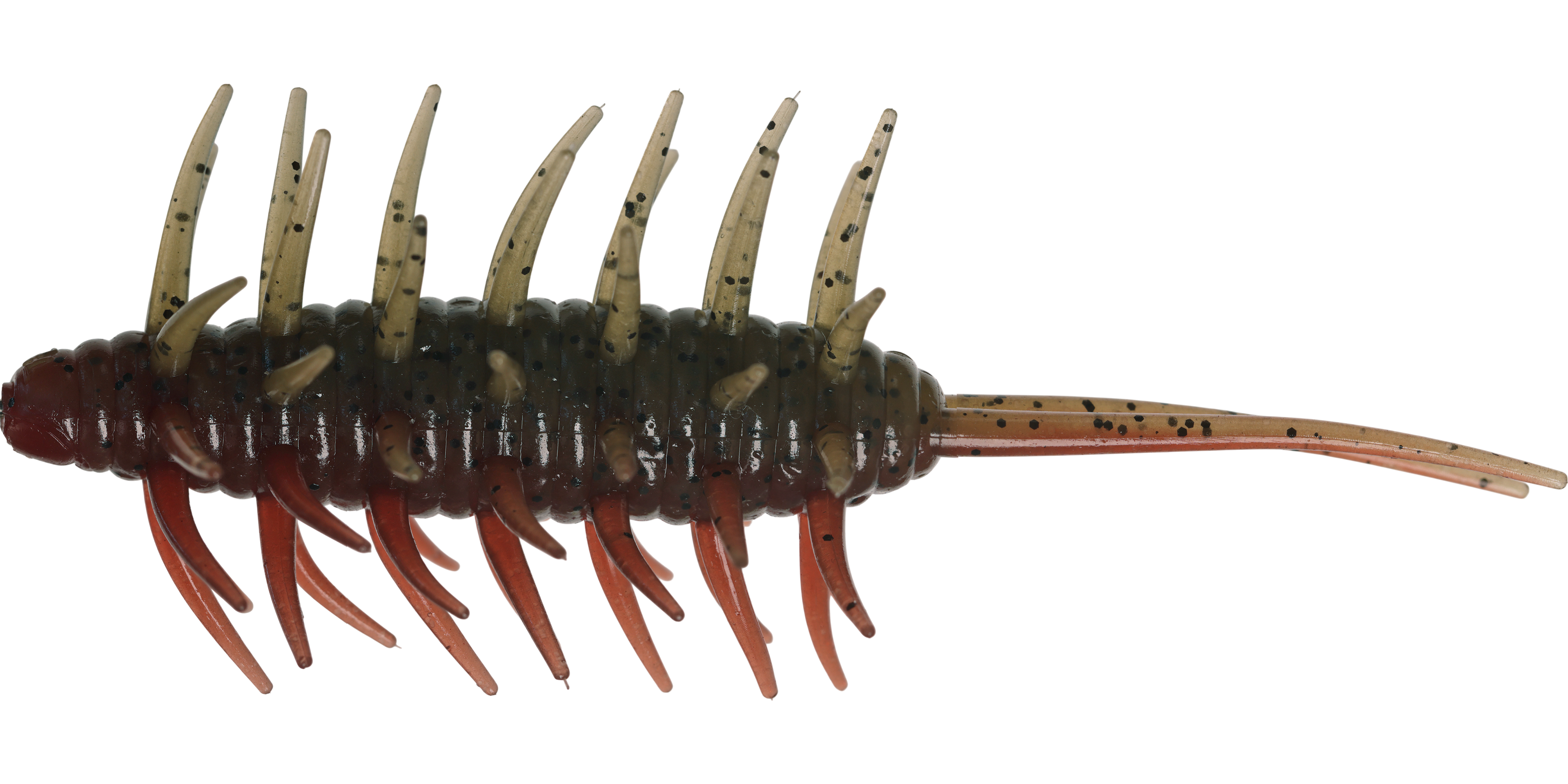 Coike Shrimp Big - HIDEUP