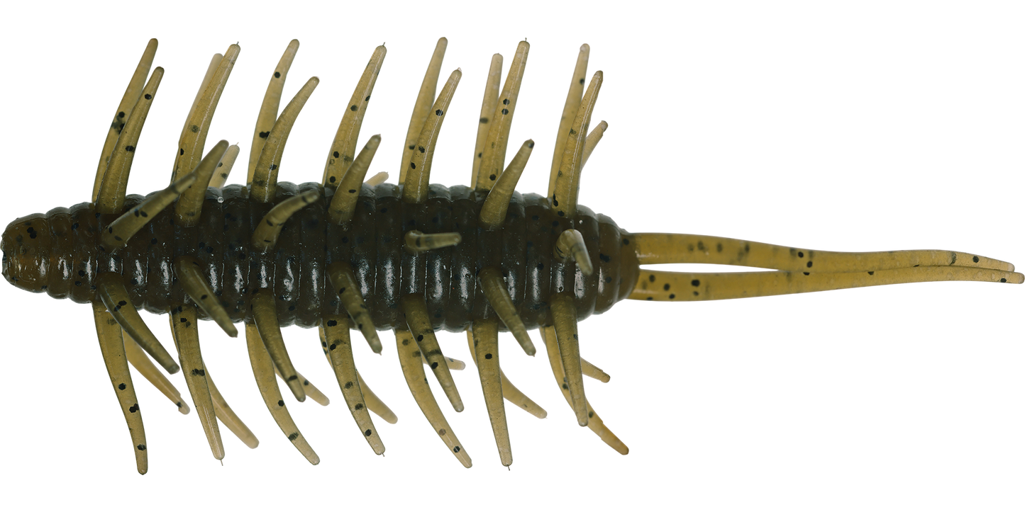 Coike Shrimp Big - HIDEUP