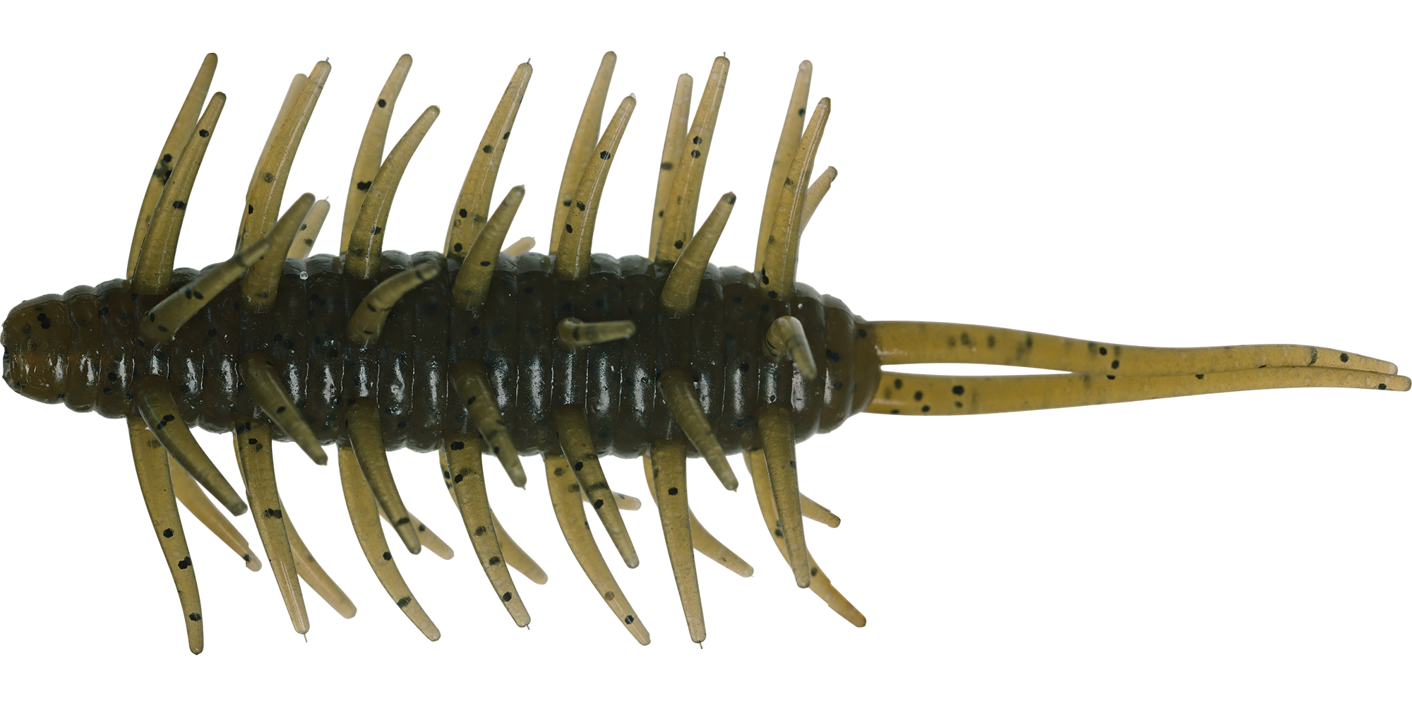 Coike Shrimp Big - HIDEUP