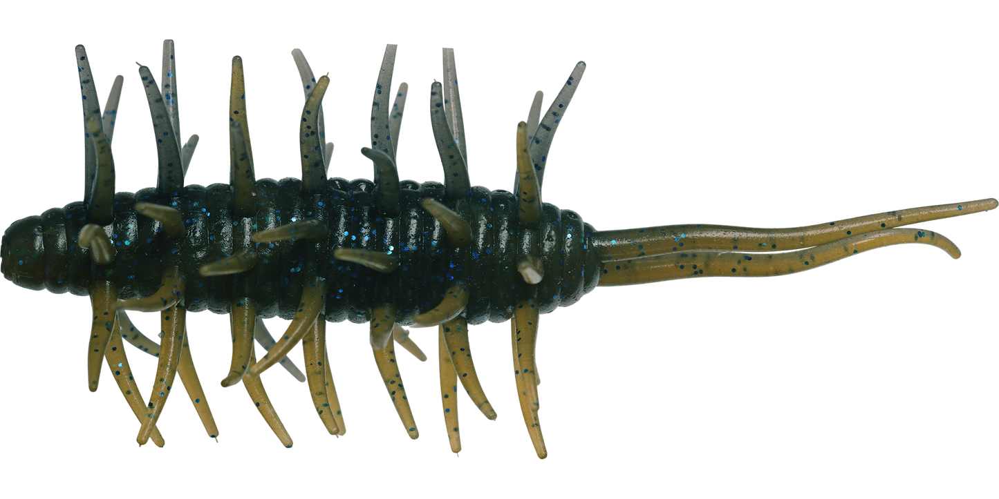 Coike Shrimp Big - HIDEUP