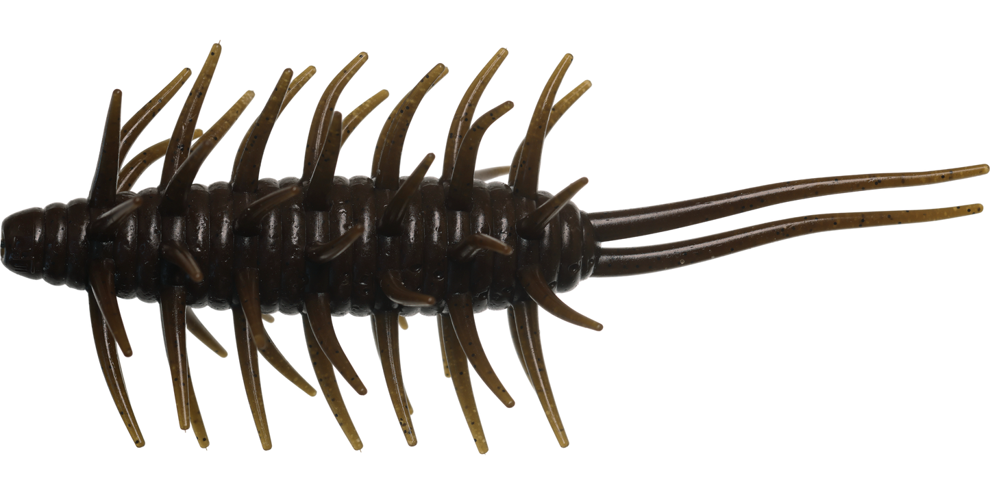 Coike Shrimp Mangun - HIDEUP