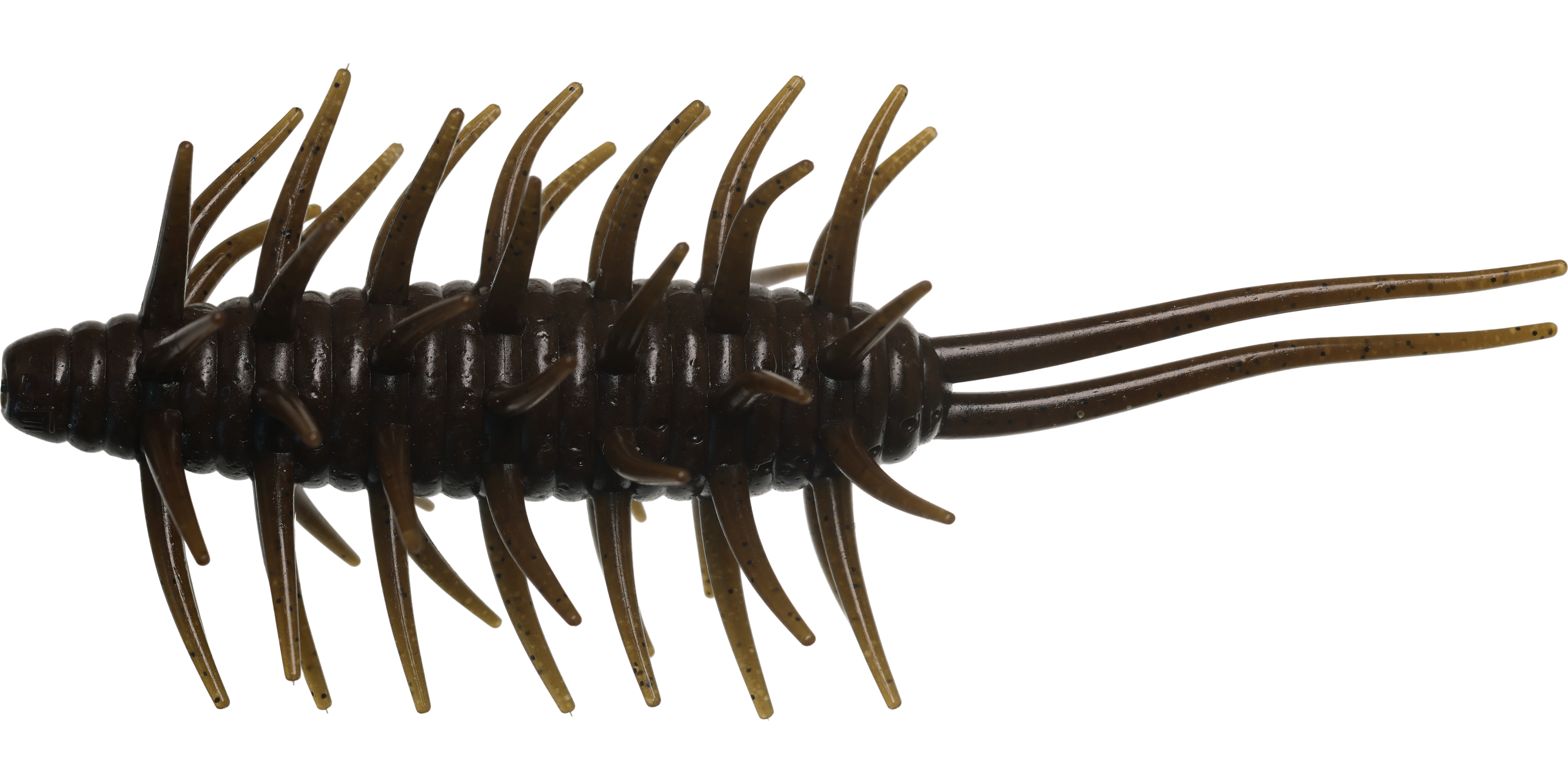 Coike Shrimp Mangun - HIDEUP