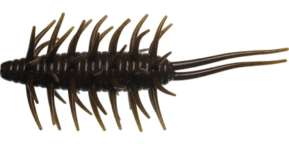 Coike Shrimp Mangun - HIDEUP