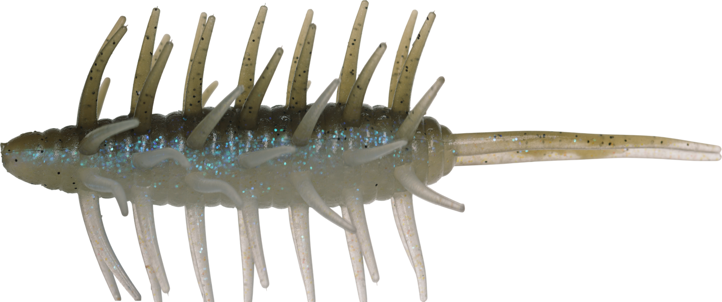 Coike Shrimp Mangun - HIDEUP