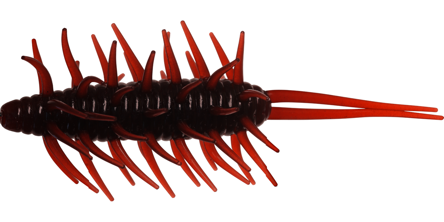 Coike Shrimp Mangun - HIDEUP