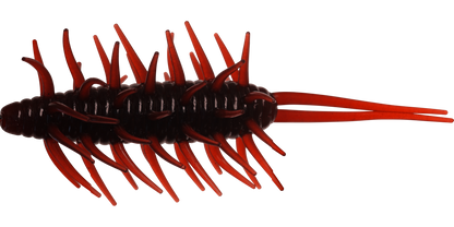 Coike Shrimp Mangun - HIDEUP