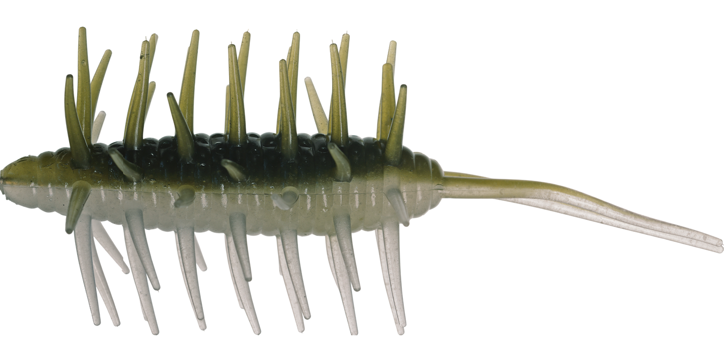 Coike Shrimp Mangun - HIDEUP