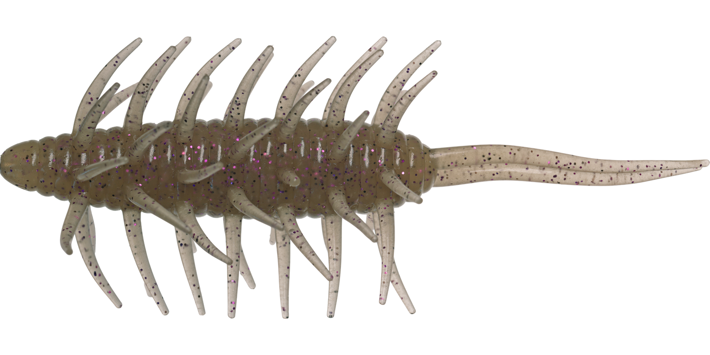 Coike Shrimp Mangun - HIDEUP