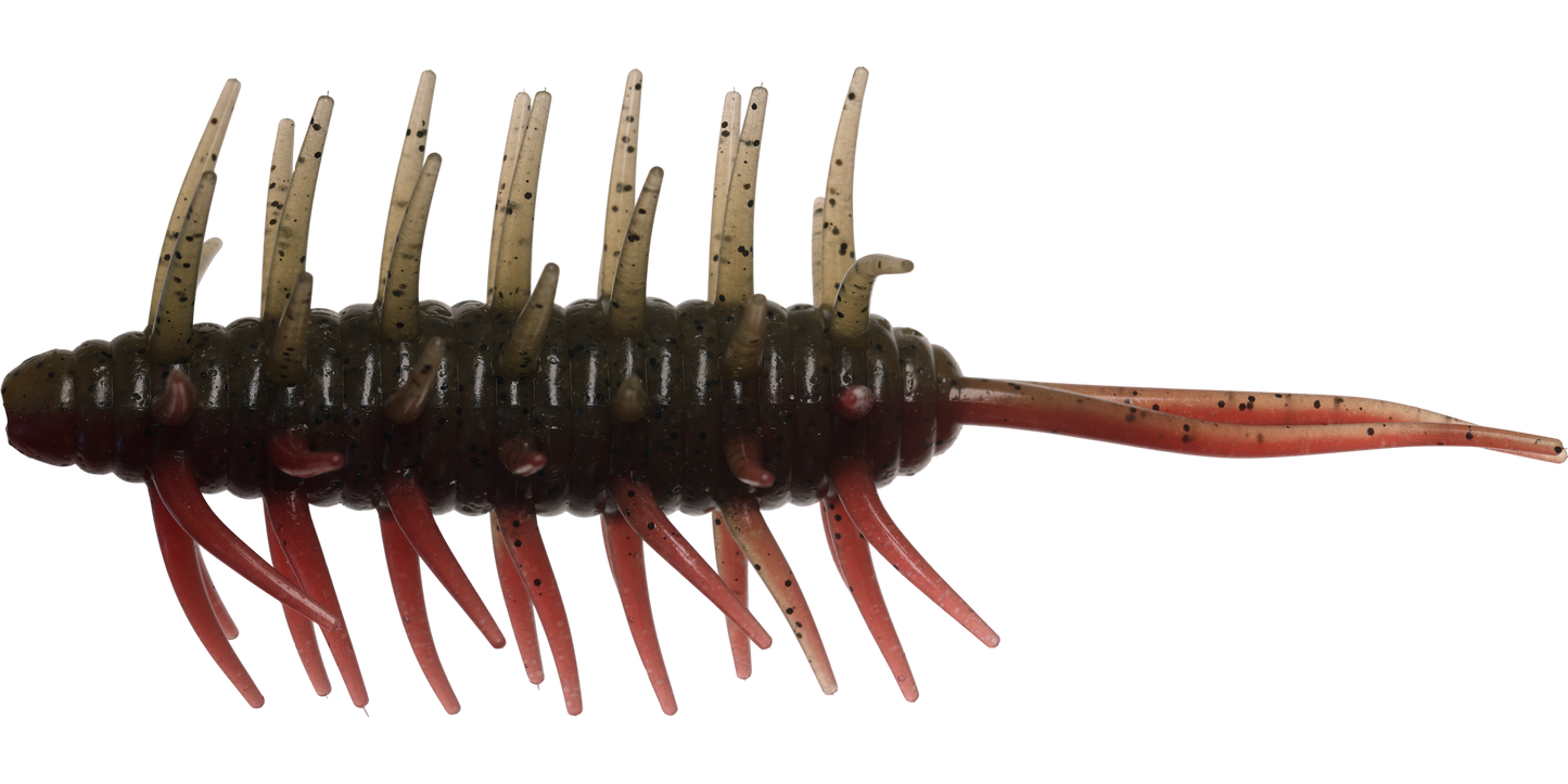 Coike Shrimp Mangun - HIDEUP